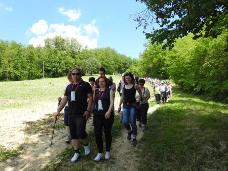 Pomlad v prleških goricah 2017 113